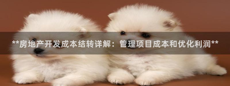 万向娱乐平台招商骗局