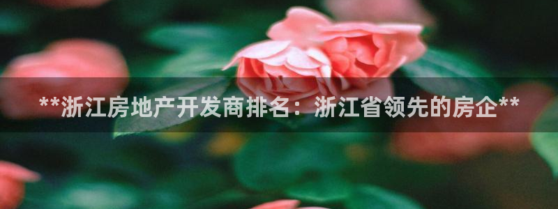 万向娱乐app下载安装