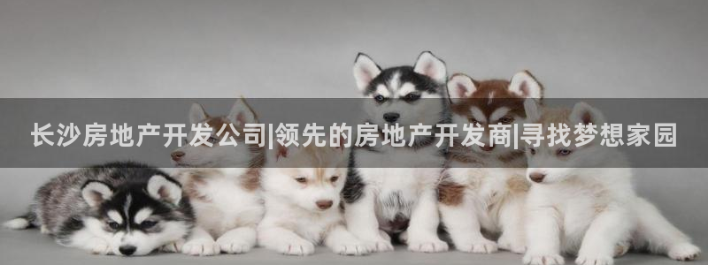 万向娱乐平台代理怎么样啊