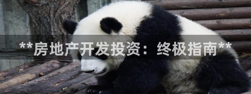 万向娱乐平台代理怎么样可靠吗