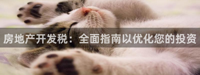 万向娱乐官网网址大全