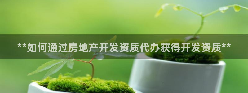 万向娱乐招商