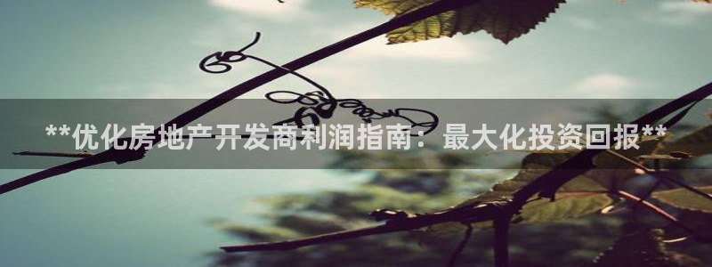 万向娱乐平台代理多少钱一年