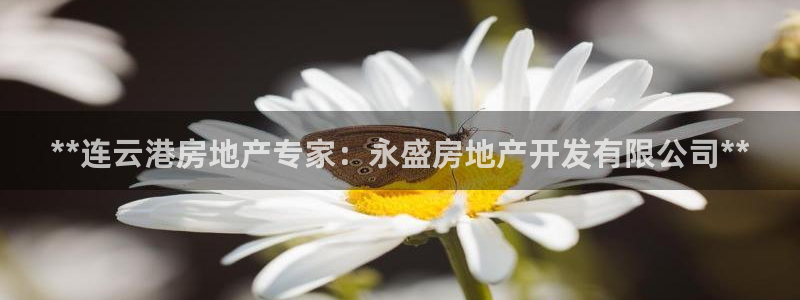 万向娱乐灯333OO