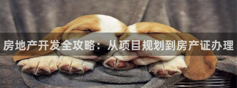 万向娱乐平台怎么下载