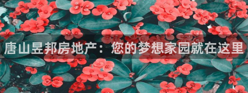 万向娱乐平台代理怎么样可靠吗