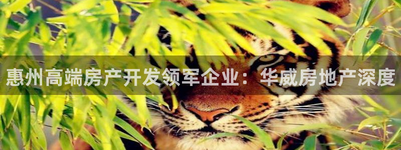 万能娱乐平台直招代理