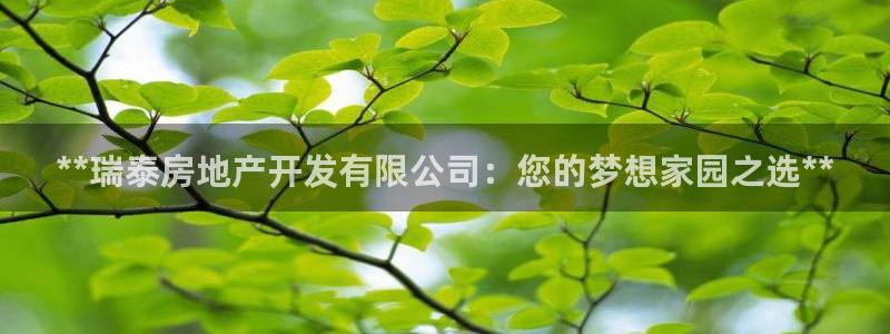 万向娱乐app