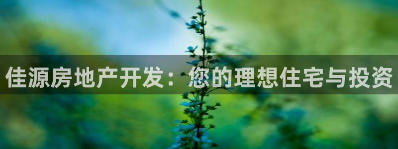 万向娱乐的494o3 主管