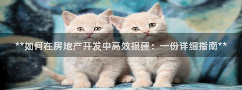 万向娱乐下载安装