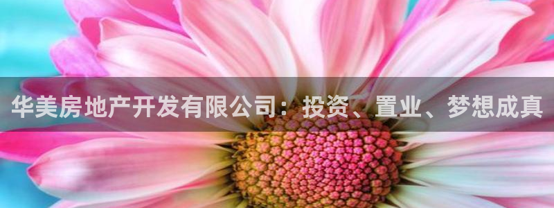 万向娱乐平台代理多少钱一个月
