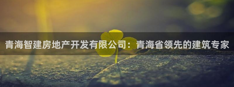 万向娱乐官网网址大全