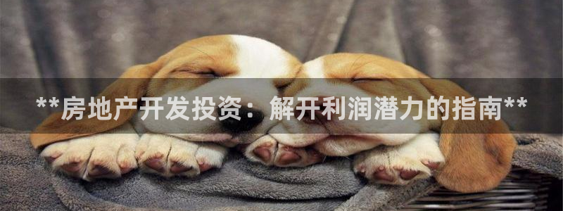 万向娱乐平台代理怎么样赚钱