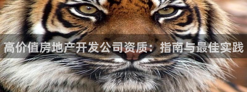万向娱乐王者荣耀