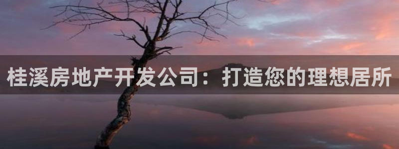 万向娱乐官网下载安卓