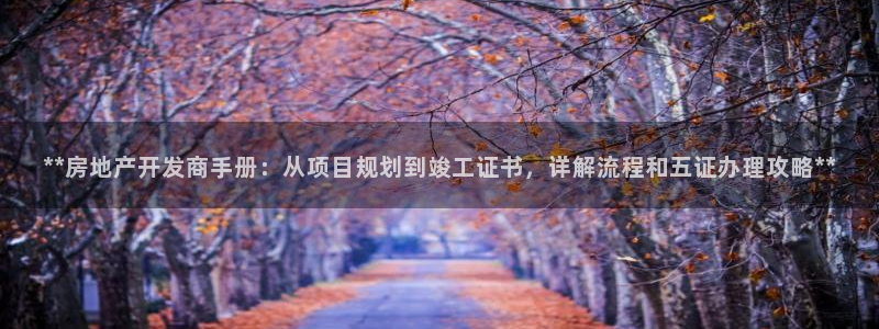 万向娱乐平台怎么下载
