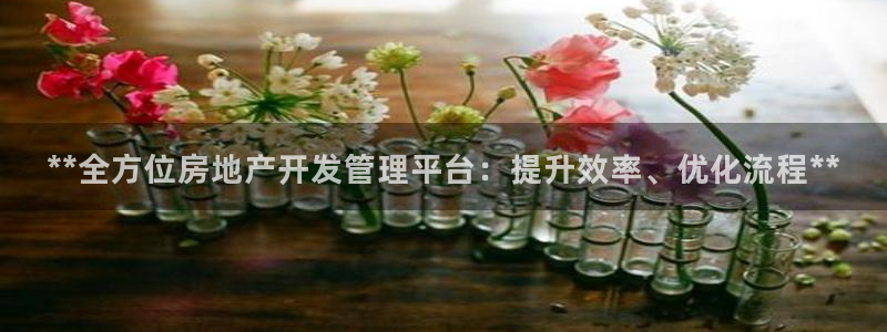 万向娱乐平台代理怎么做赚钱