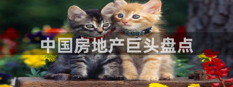 万向娱乐招商