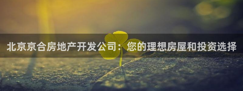 万向娱乐挂机软件
