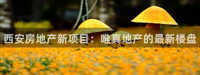 万向娱乐官网下载安装苹果