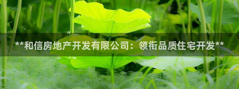 万向娱乐灯333OO