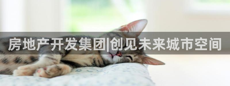 万向娱乐公司官网首页