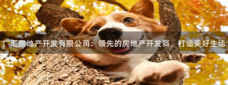 万向娱乐登陆官网下载