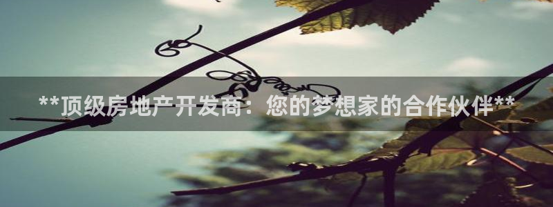 万向娱乐平台怎么下载