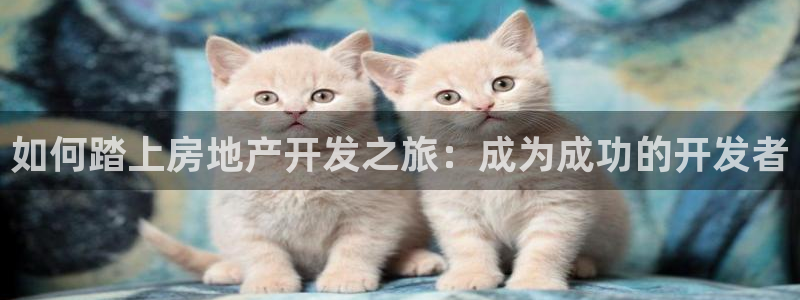 万向娱乐官网下载安装手机版