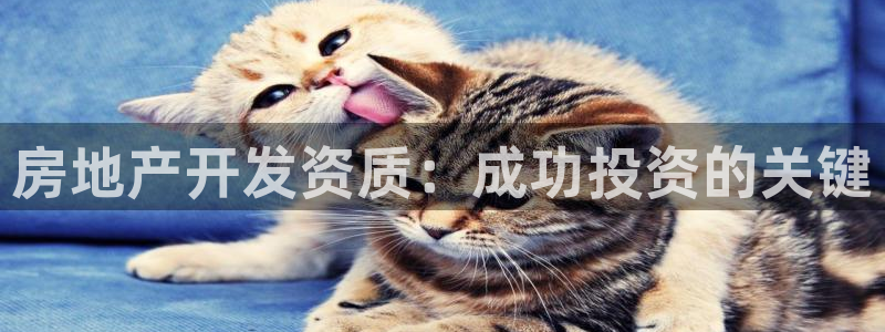 万向娱乐平台招商骗局