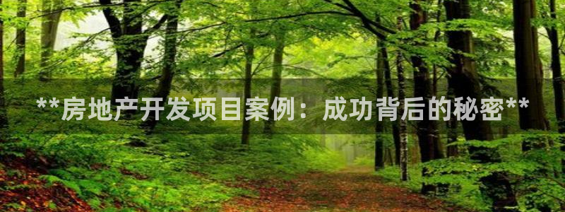 万向娱乐平台代理怎么做