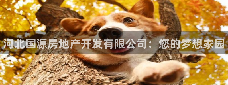 万向娱乐的联系方式有哪些