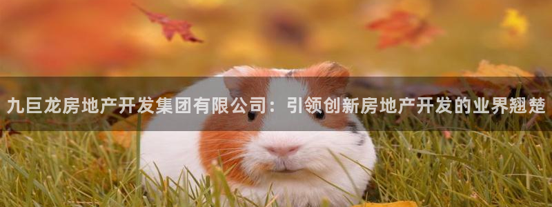 万能娱乐代理网址