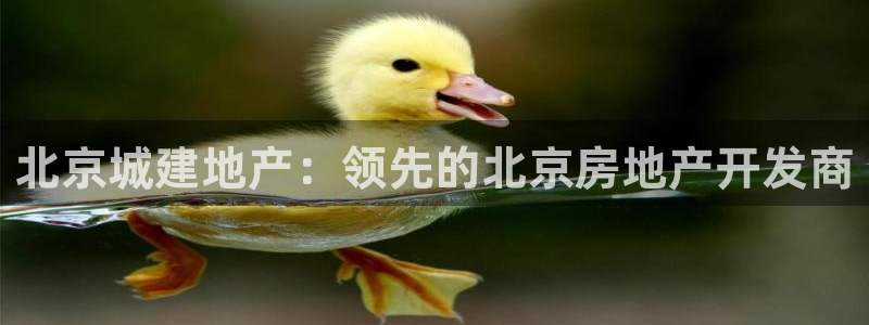 万向娱乐官网网址是什么