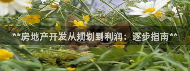 万向娱乐公司官网首页