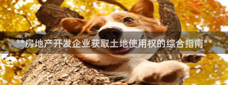 万向娱乐平台招商骗局