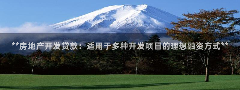 万向娱乐挂机软件