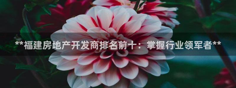 万向娱乐官网下载安装手机版
