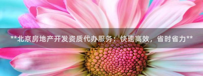 万向娱乐登陆