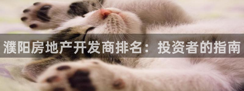 万向娱乐下载安装