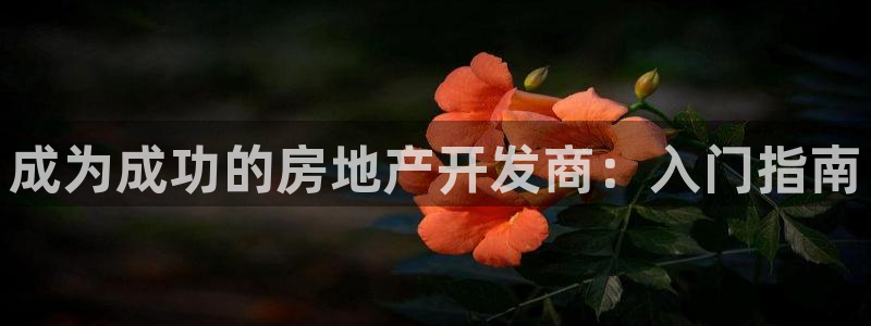 万向娱乐技术分享