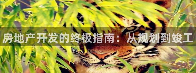 万能娱乐代理网址