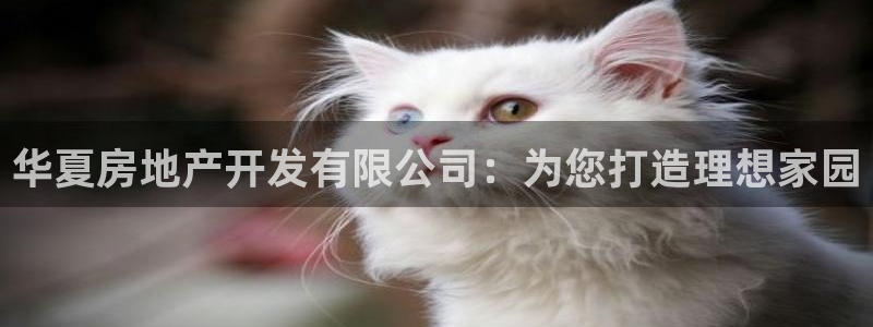 万向娱乐平台代理怎么样可靠吗