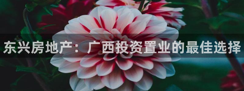 万向娱乐app下载安装
