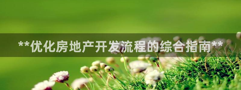 万向娱乐灯333OO