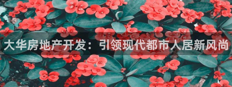 万向娱乐王者荣耀