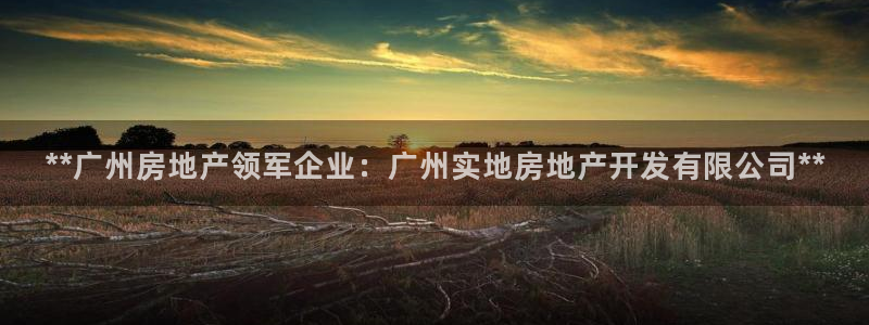 万向娱乐的494o3 主管