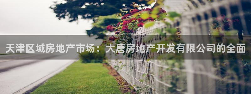 万象游戏代理
