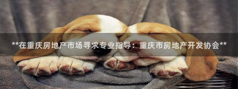 万向娱乐平台代理怎么做