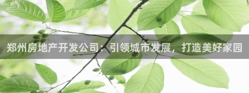 万能娱乐代理网址